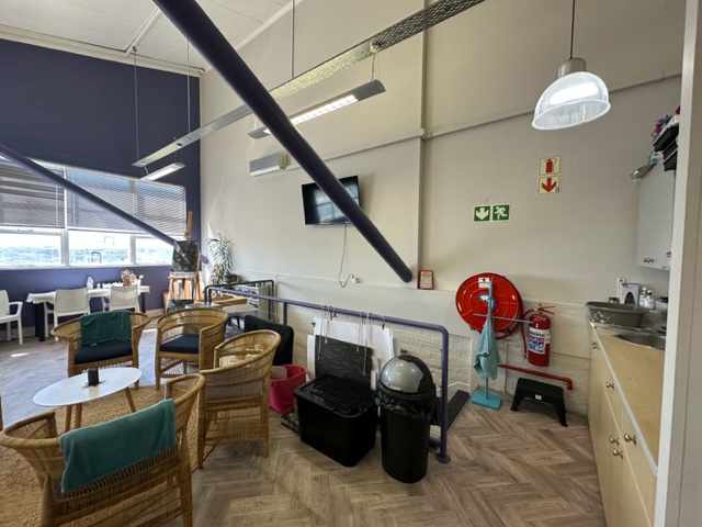 To Let commercial Property for Rent in Mowbray Western Cape